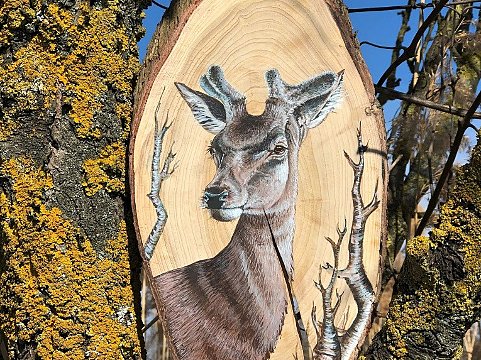 Nature Art by Julia  Animal painting on wood slice