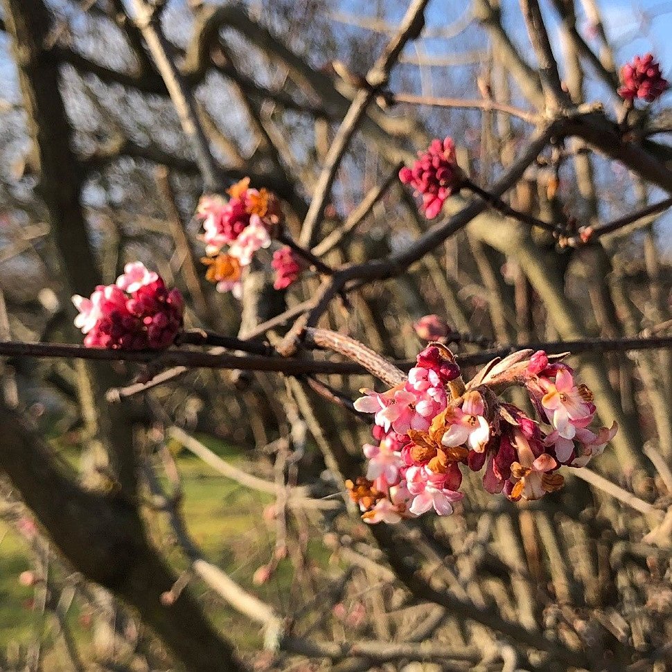 21.01.2020 - The warm and sunny weather is back.